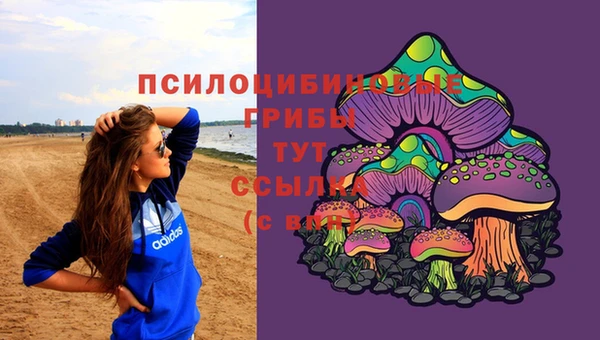 молекула духа Бикин