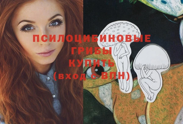 таблы Новокубанск
