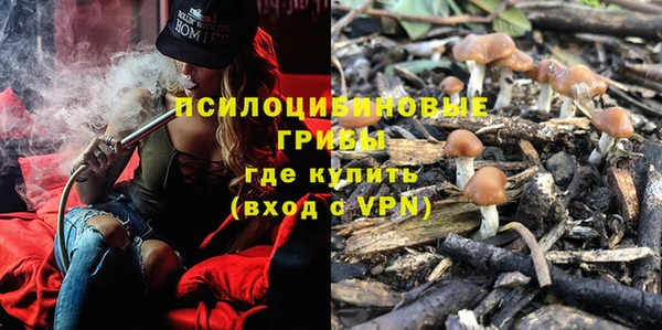 меф Няндома