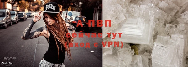 Альфа ПВП Новодвинск